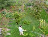 Vegetable garden